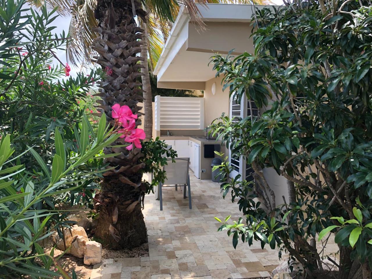 Apartament Casa Tulia - Curacao Grote Berg Zewnętrze zdjęcie